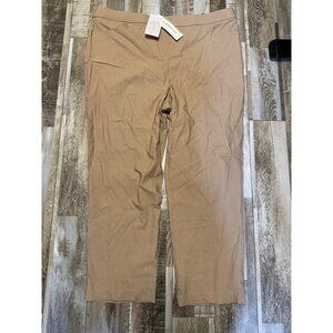 Alfred Dunner Womens Allure Slimming Waistband Pants Tan Size 18P Modern Fit